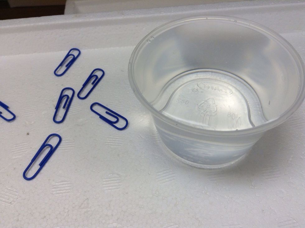 How to explore surface tension B+C Guides