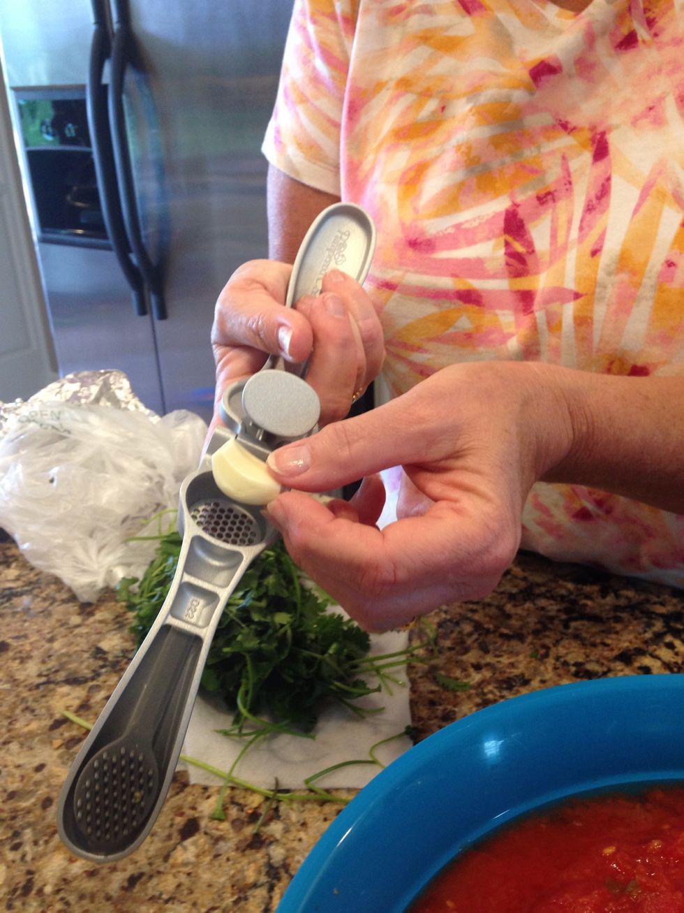 Add one pressed garlic clove to food processor.