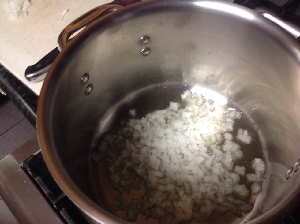 Add onion, cook for 3-5 min until slightly translucent.