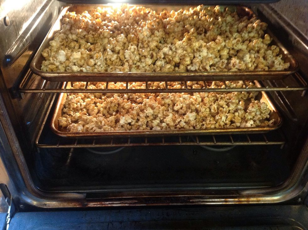 Add pans to preheated 250 degree oven.  Stir every 15 minutes for one hour.