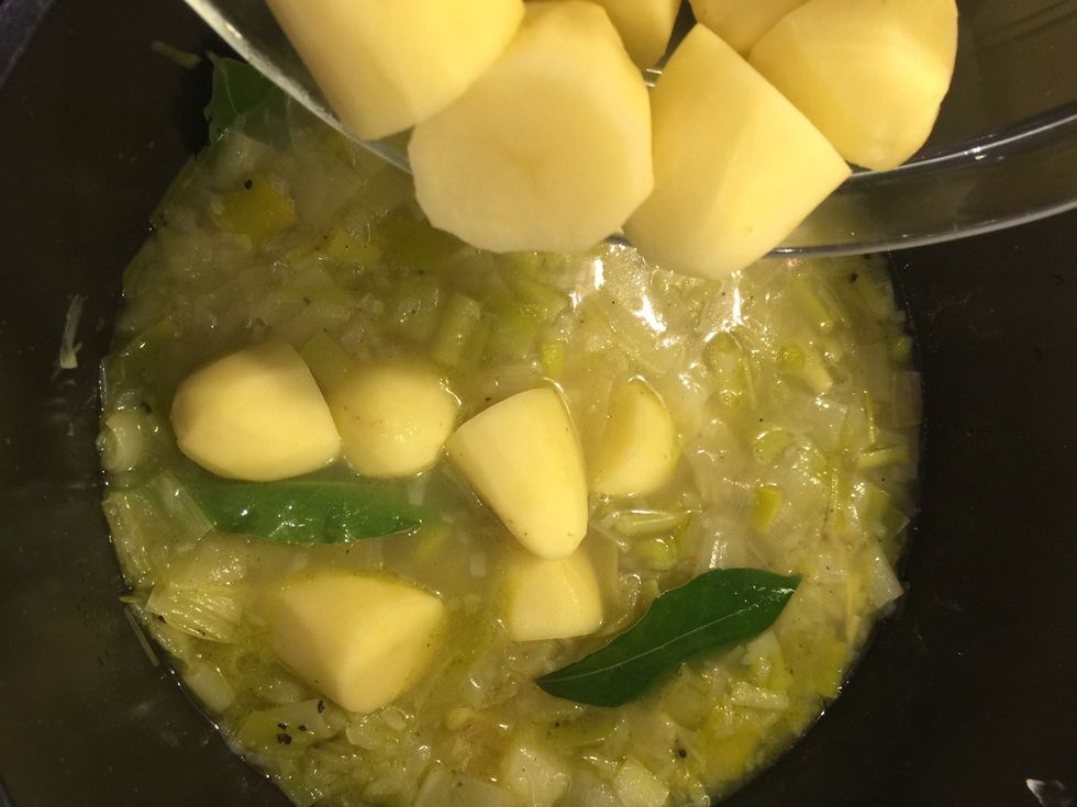 Add potatoes and cook 20 more mins or until cooked but not falling apparat.