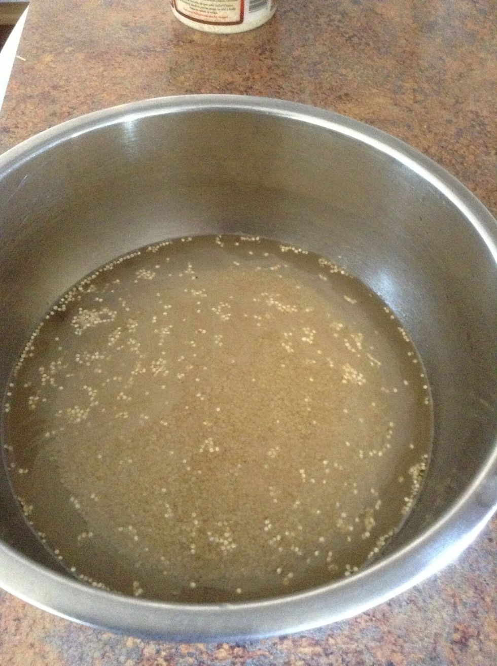 Add quinoa  to water.