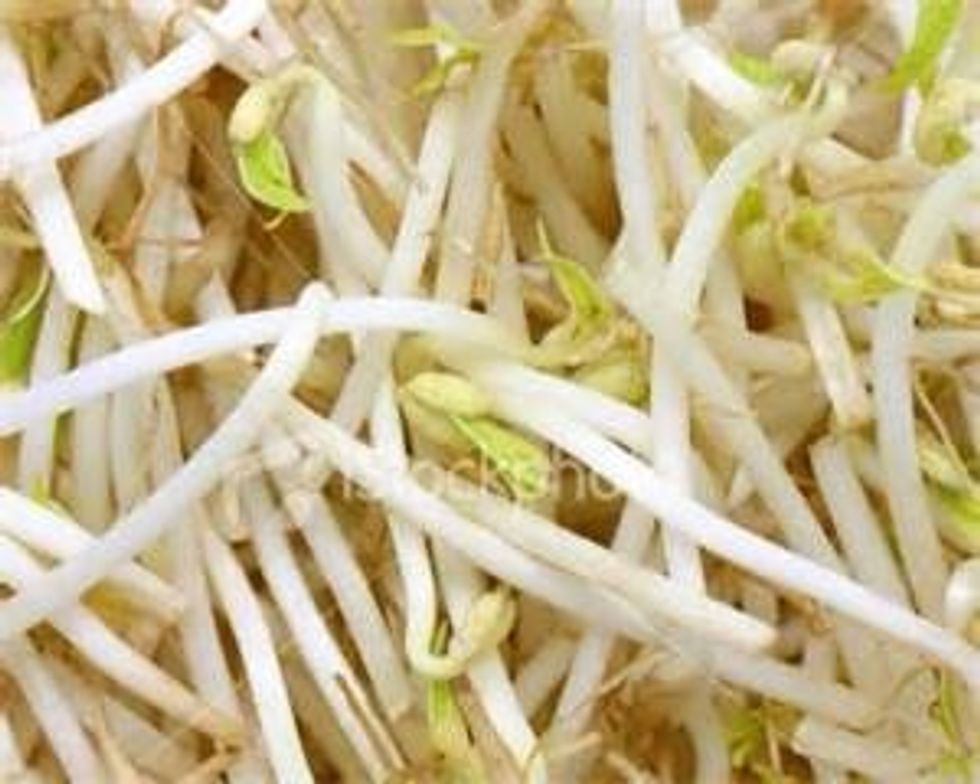 Add raw bean sprouts to the top of the cup, leaving room for broth.