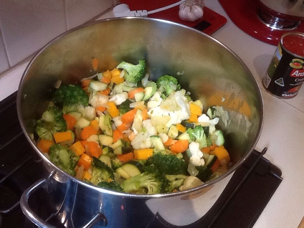Add remaining vegetables and stir for 5 minutes or until vegetables start to brown.