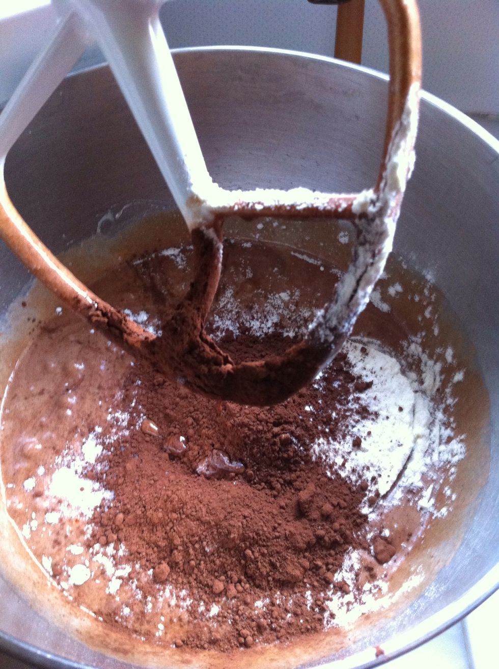 Add salt, flour and Cacao. Beat slowly for another minute just to let ingredients to be combined each other... Do not overmix!
