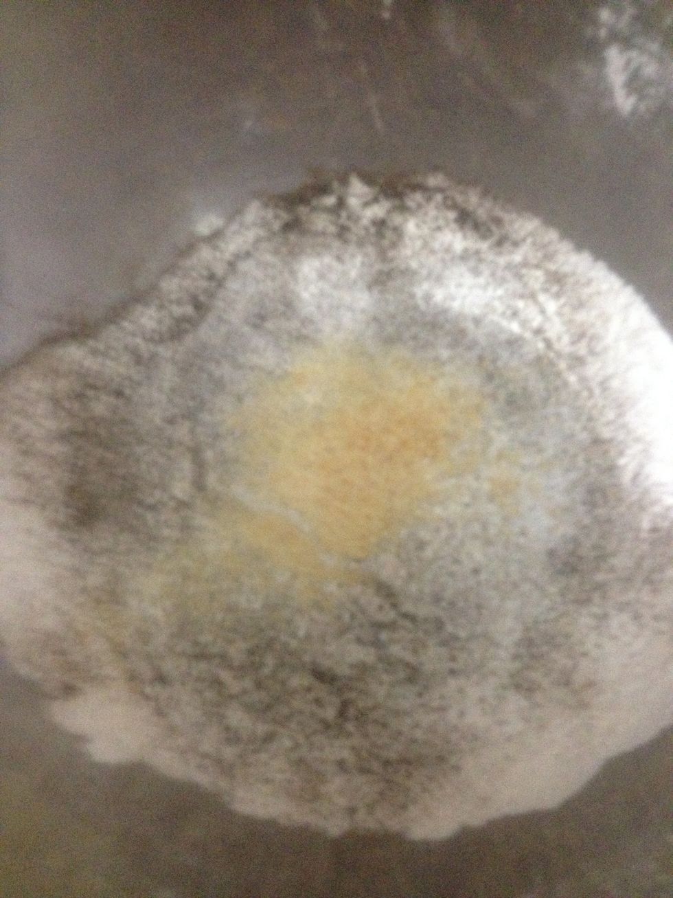 Add salt, pepper, and garlic powder.