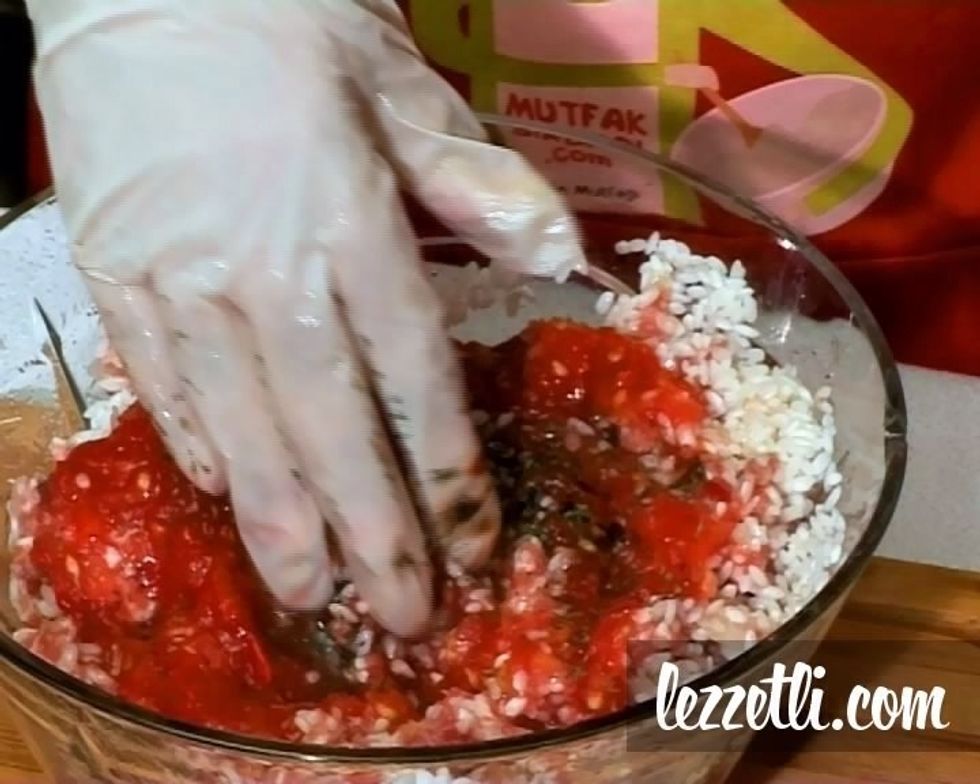 Add salt , pepper , mint , sauce and tomatos and continue to knead