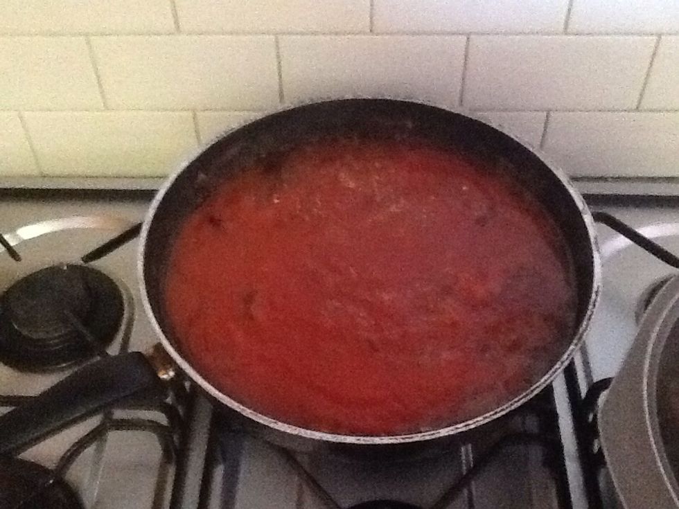 Add sauce and cook for an hour on medium