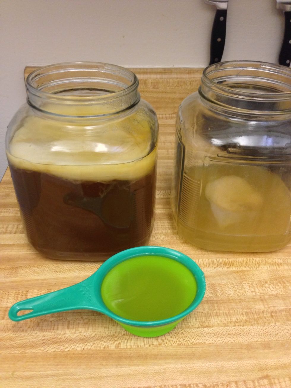 Add SCOBY to the tea and a cup of Kombucha from your previous batch to help get it started. You can use your favorite store bought brand, or apple cider vinegar, but make sure the vinegar isn't raw.