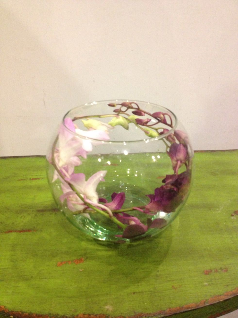 Add secondary stem radiating from the same point on an opposing direction.