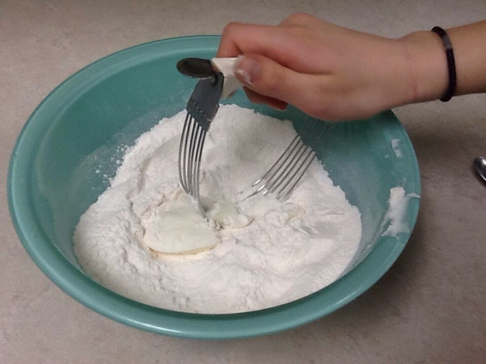 Add shortening mix with pastry blender, cut into dry mixture until coarse and crumbly