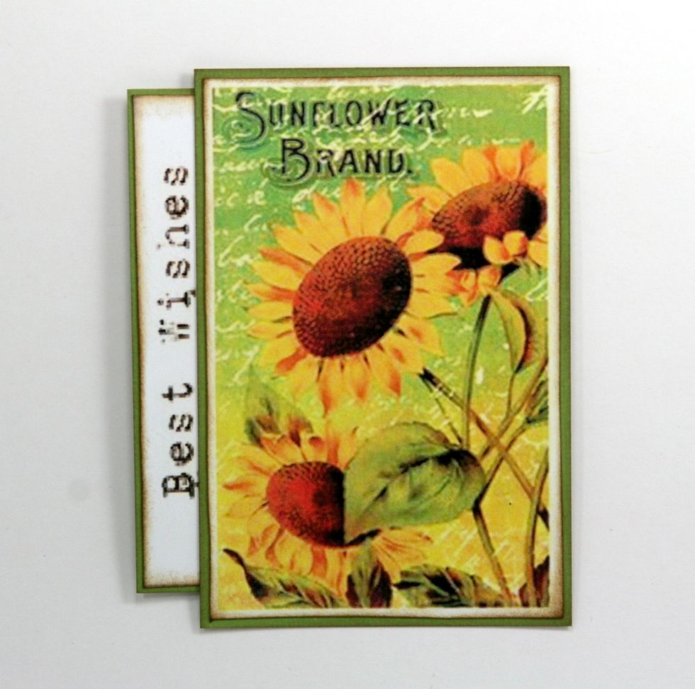 Add solid border to sentiment strip then add to Sunflower Brand image.