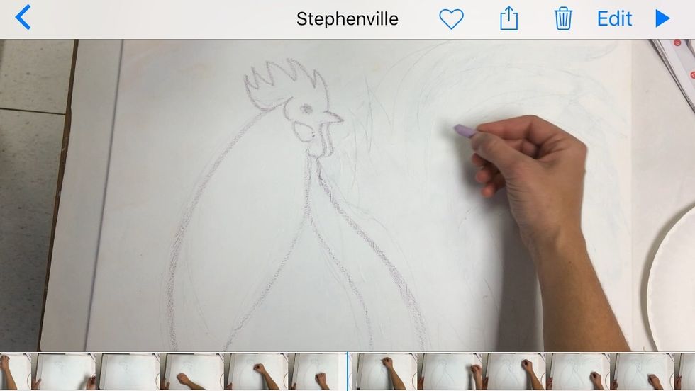 Add some curved lines to represent the rooster's wings and breast.