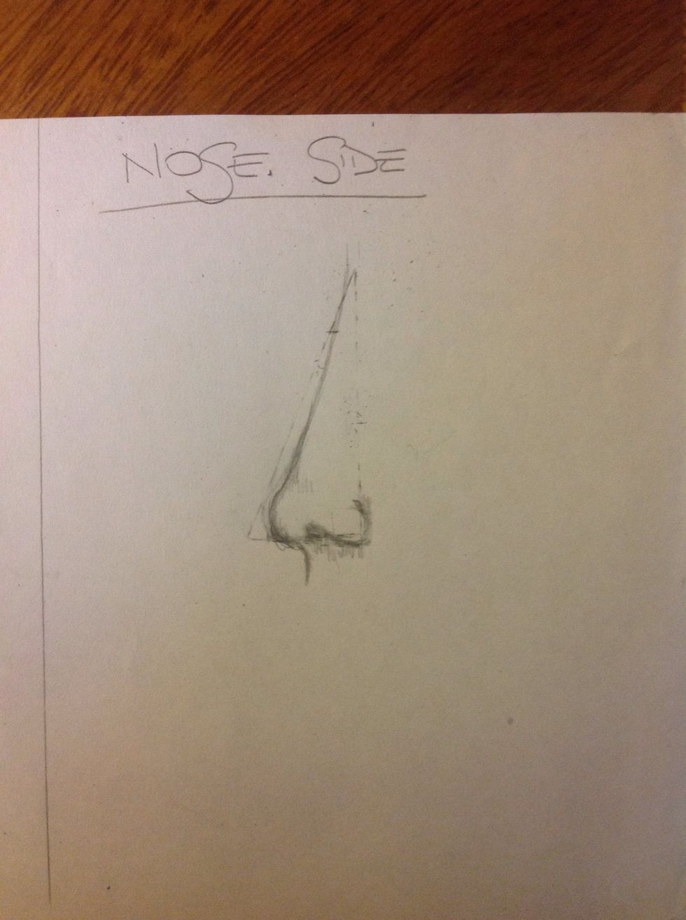 Add some shadows down the nostril and over the tip of the nose so it looks more like a snub nose. And you finish!