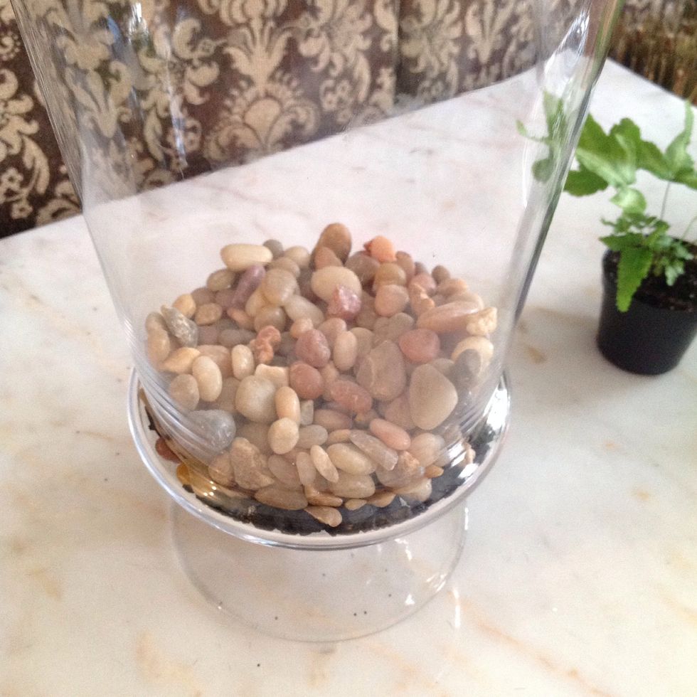 Add some small stones or gravel for drainage.