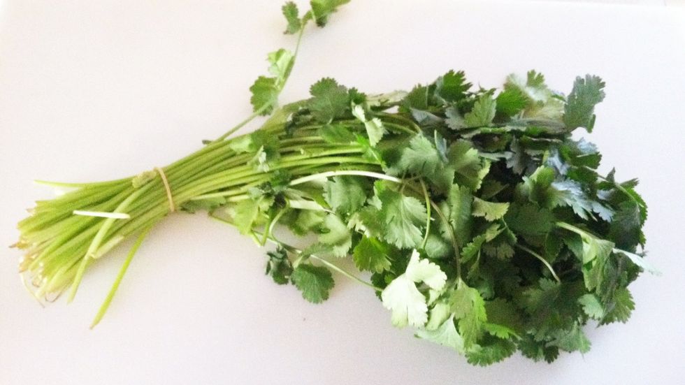 Add some snipped cilantro leaves.