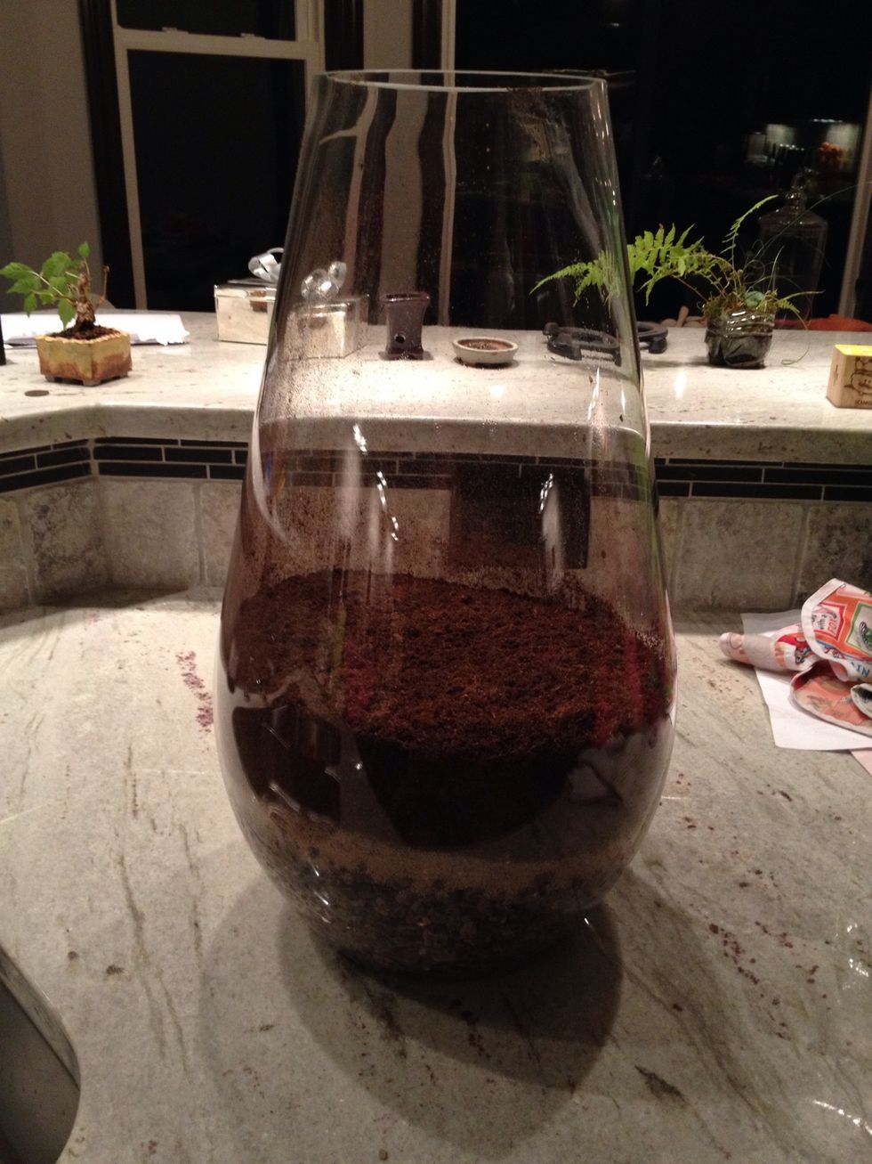 Add Spaghum / peat moss soil