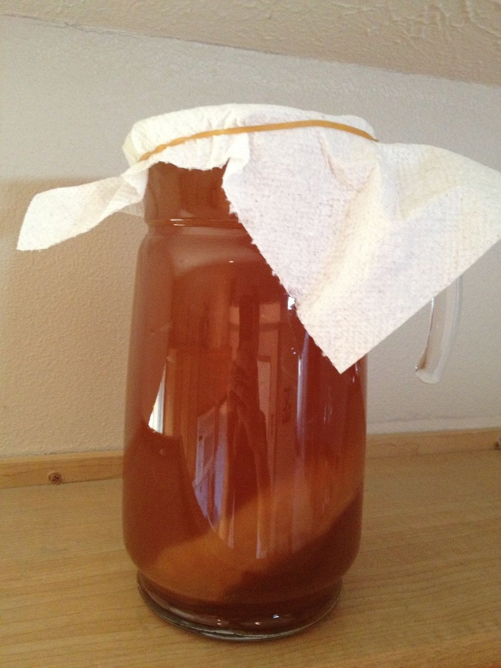 Add starter tea, fresh brewed tea and the scoby into the pitcher (the scoby has a mind of its own and may float, float sideways or sink to the bottom)