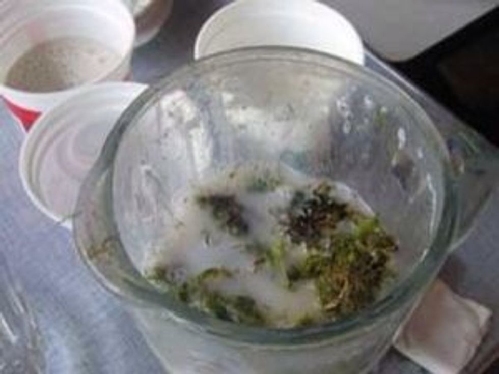 Add sugar and milk. Blend in blender.