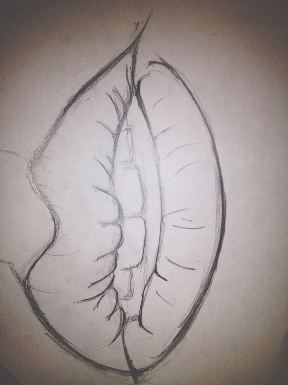 add teeth by drawing rounded corner squares. add details.