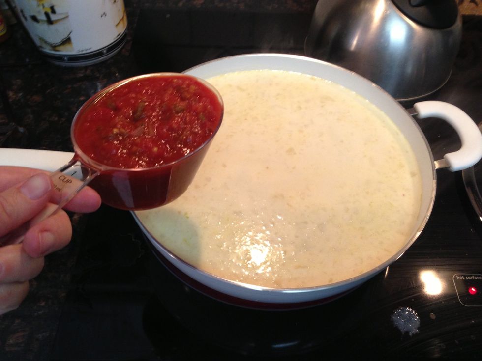 Add the 1 cup of Salsa.