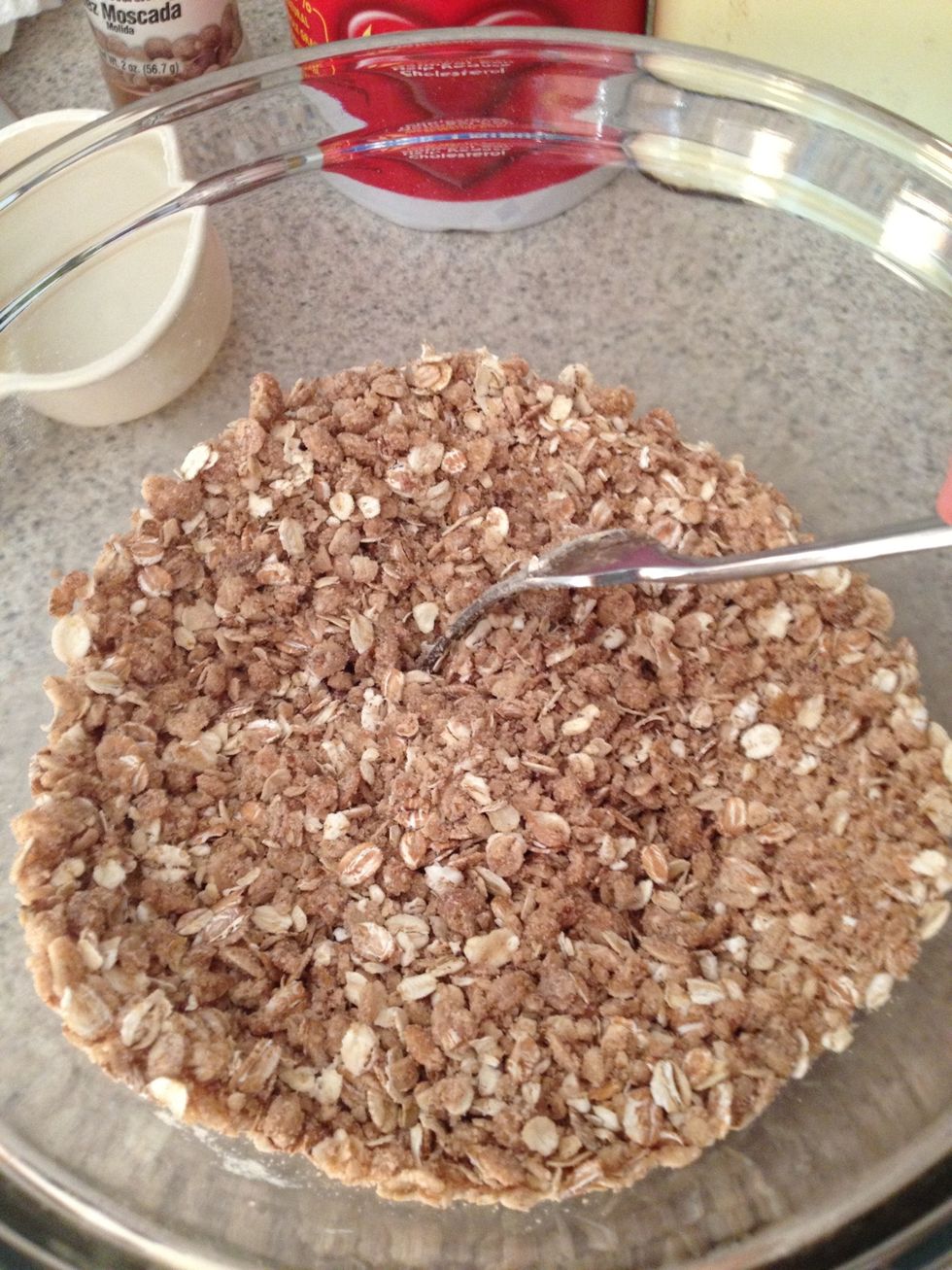 Add the 4 tablespoons of melted margarine and stir up the topping so that it looks like this.