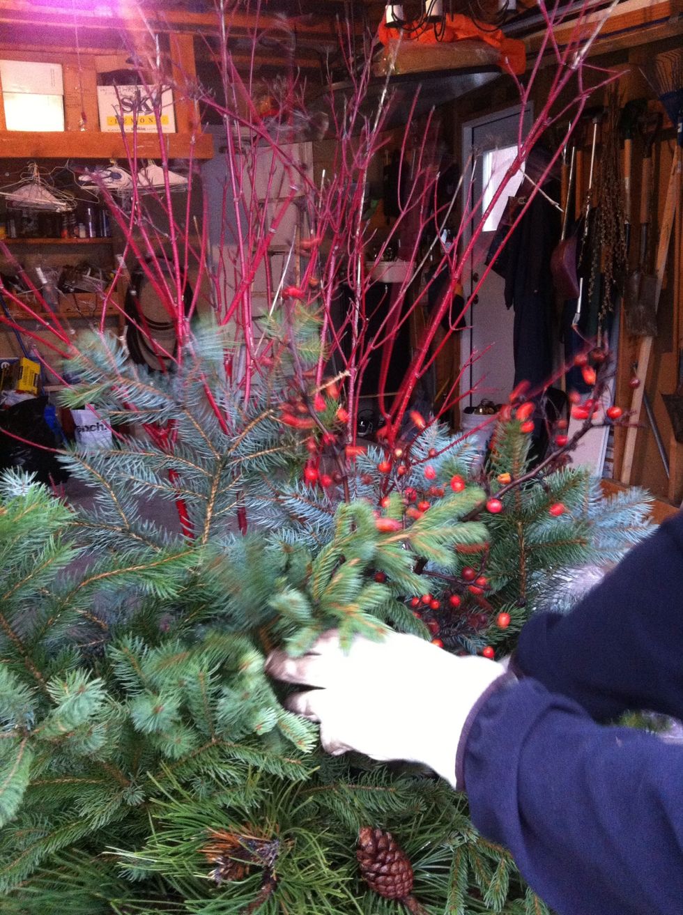 Add the berries in the middle for colour and interest.