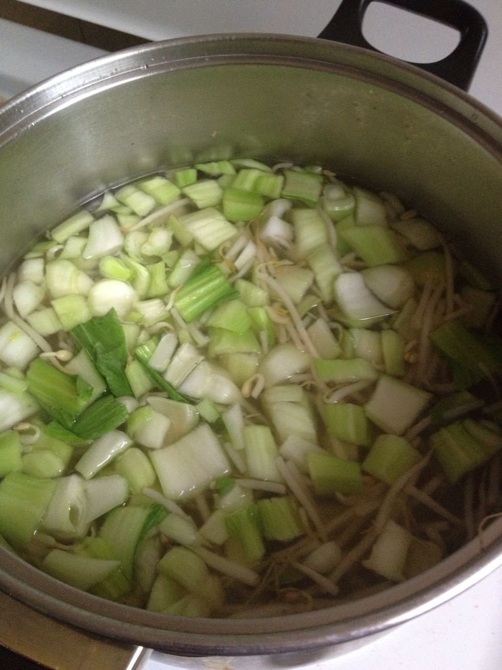 Add the bok choy and bean sprouts. (I was told it is best to leave the bean sprouts until the end so they keep their crunch, but I thought they were fine like this.)