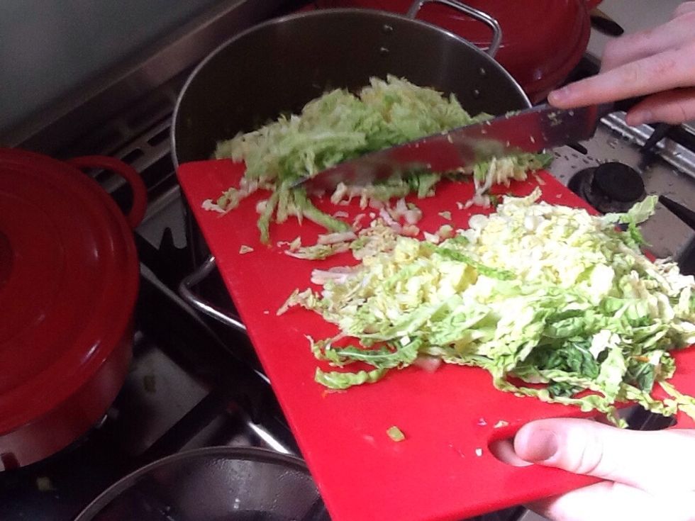 Add the cabbage