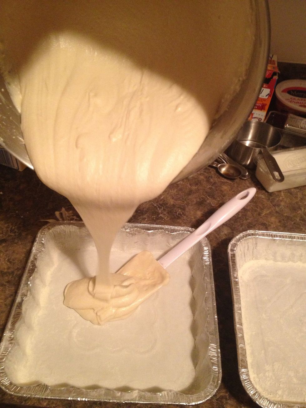 Add the cake batter to your pan(s).