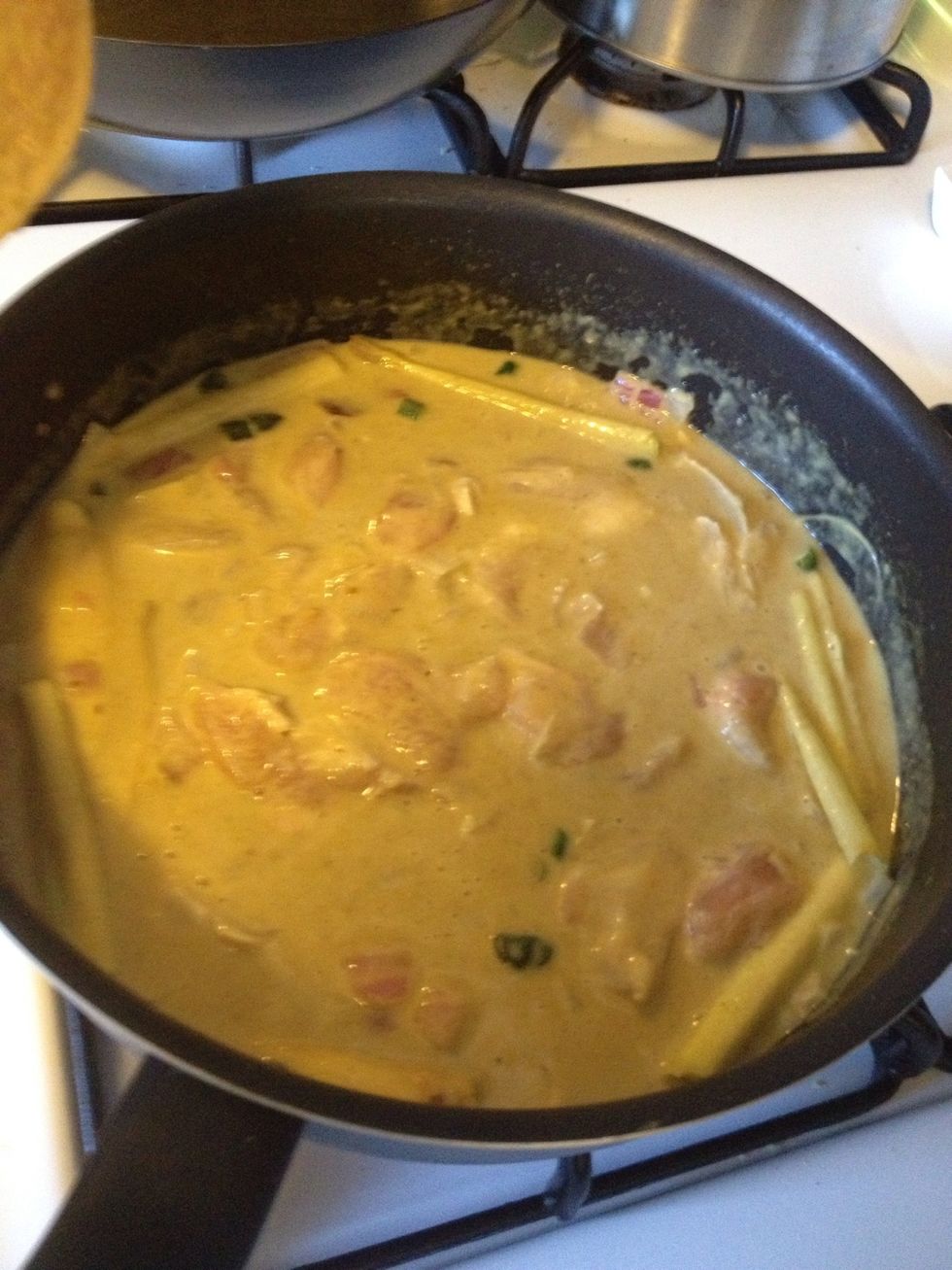 Add the chicken, stirring to incorporate. When the curry sauce comes to a boil, reduce heat to medium or medium-low, until you get a nice simmer. Cover and allow to simmer 3-5 more minute.