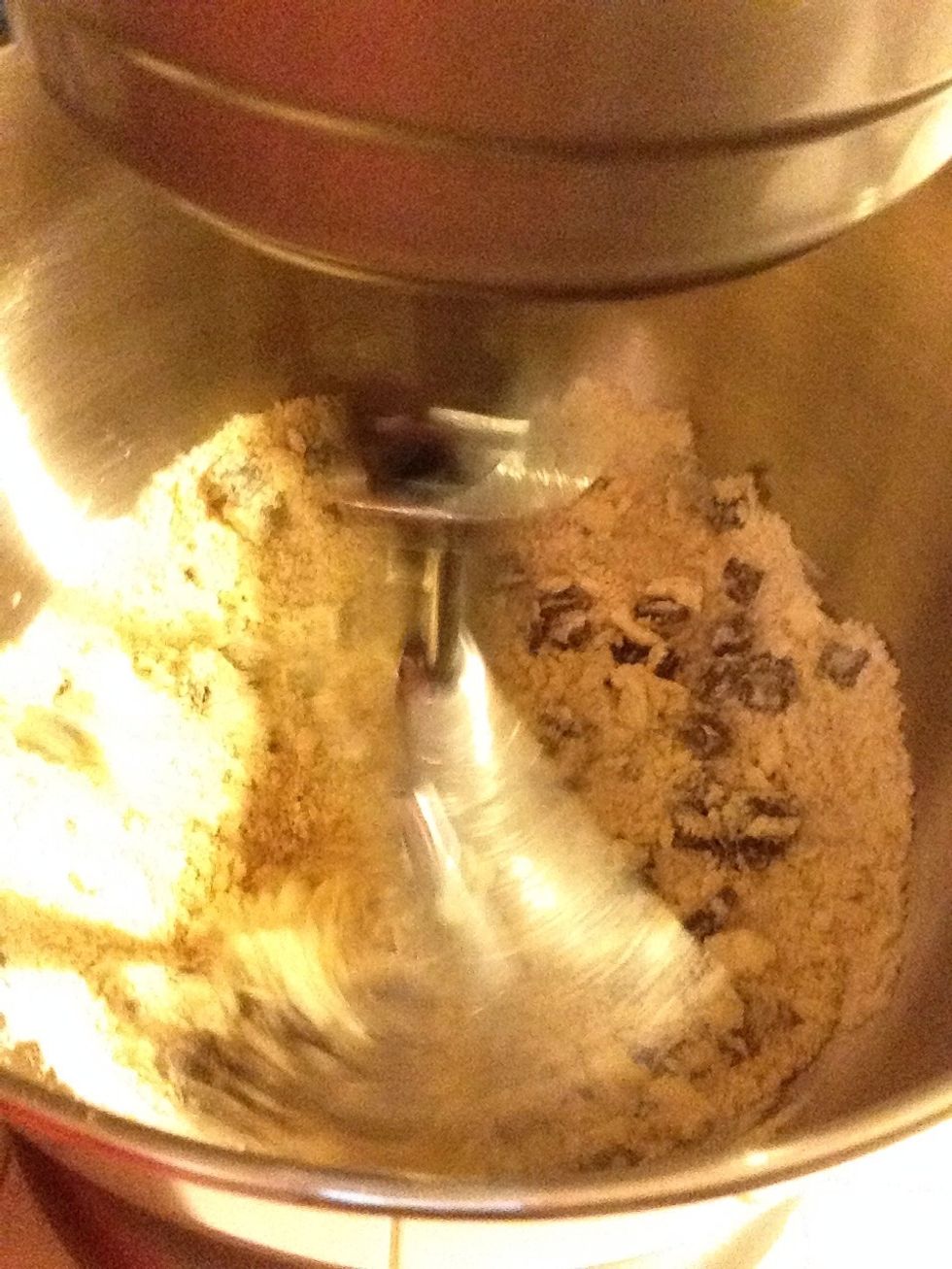 Add the chocolate chip mix to the creamed butter