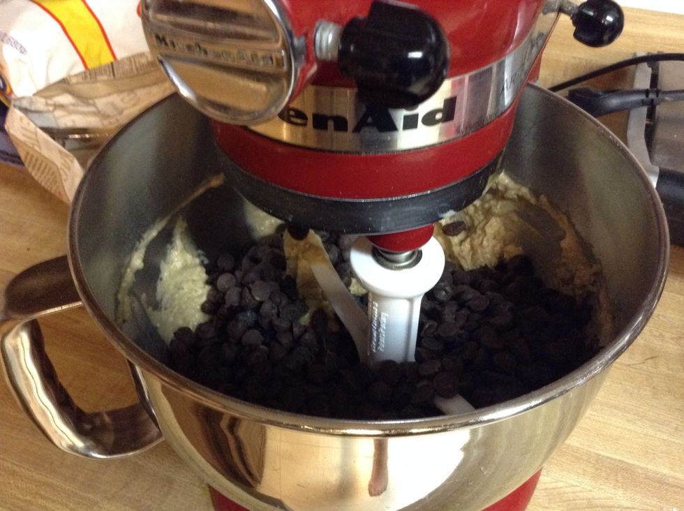 Add the chocolate chips and raisins to the dough and mix by hand.