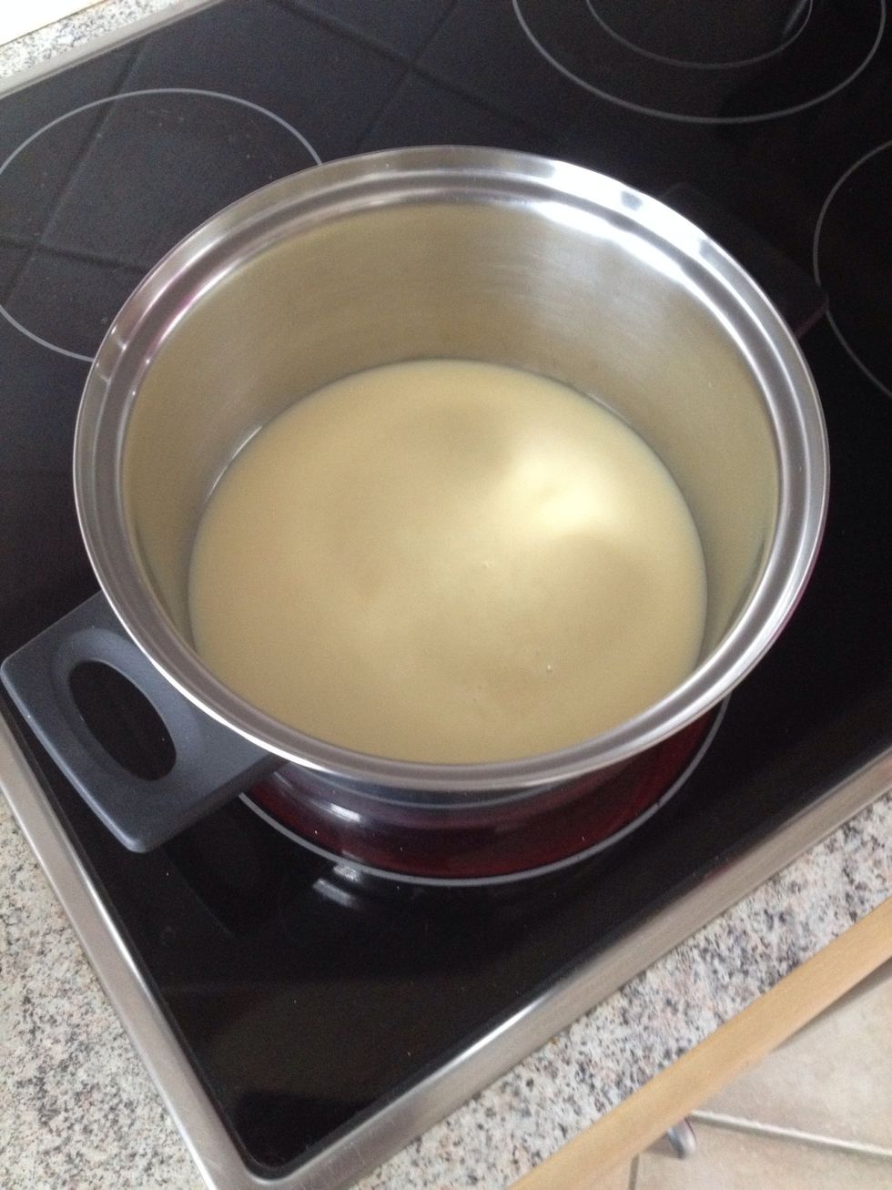 Add the condensed milk to a large pot