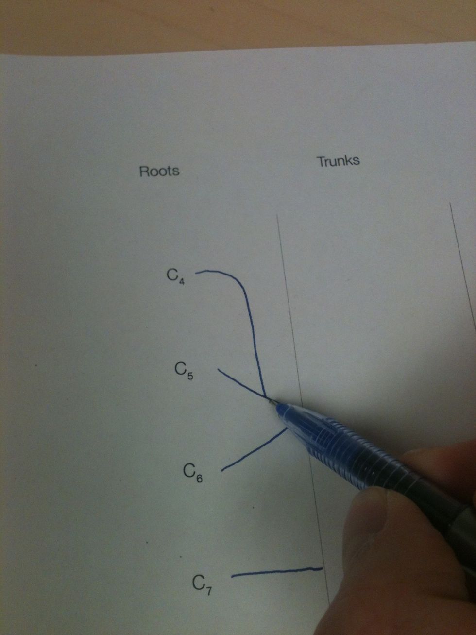 Add the contribution of C4 to C5.