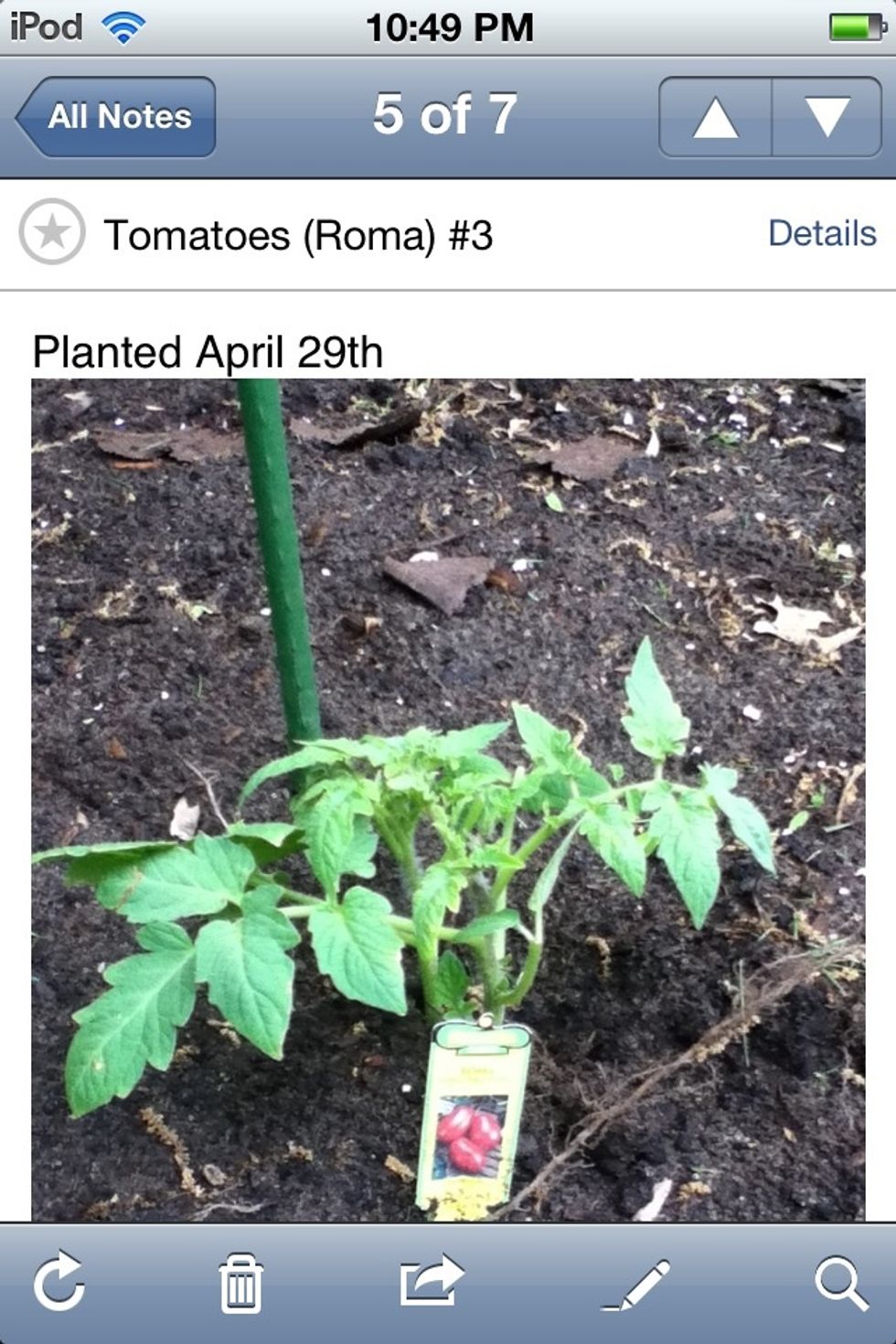 Add the date the photo was taken