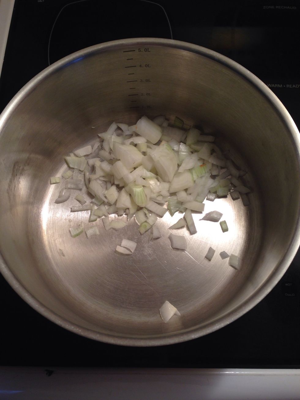 Add the diced onion to the pot.