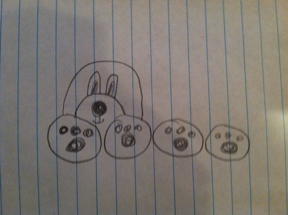 Add the dogs face you desire