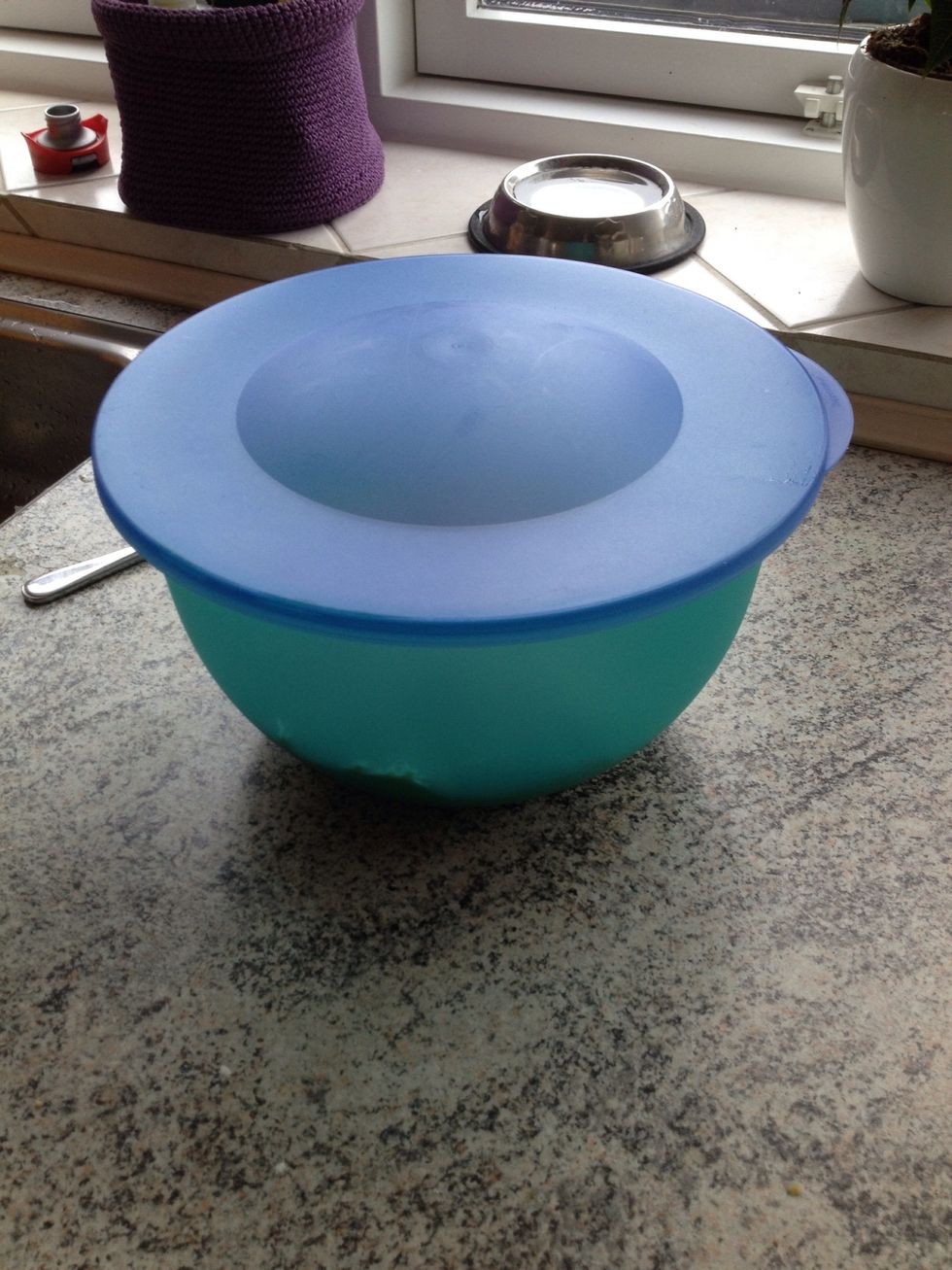 Add the dough to a bowl with a lid and place it in the refrigerator overnight