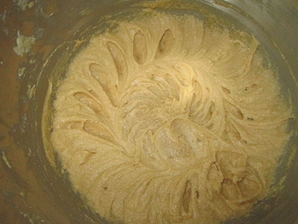 Add the egg and the vanilla extract