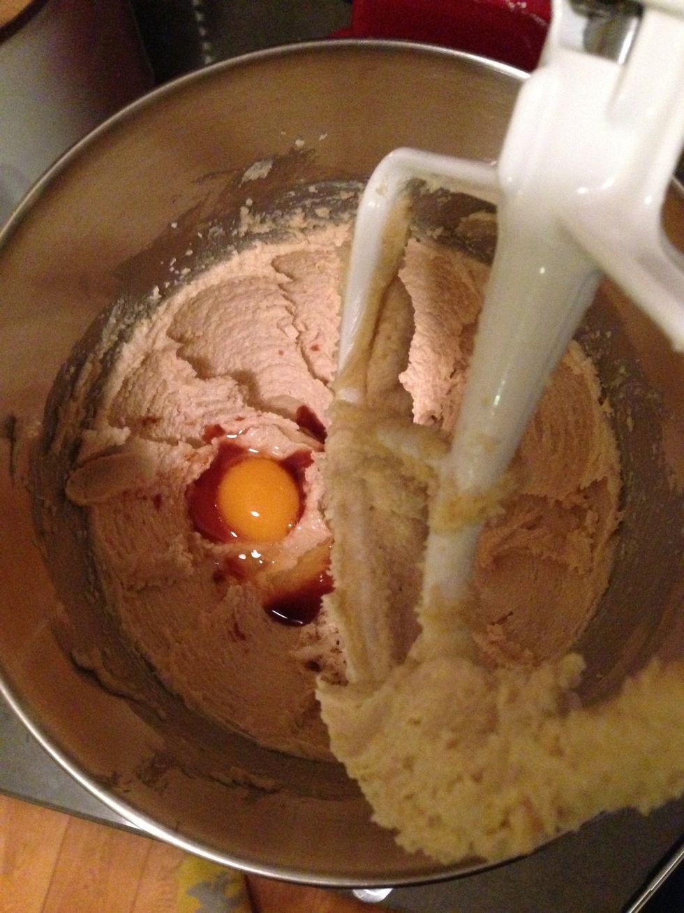 Add the egg and vanilla and mix until incorporated, about 30 seconds. Make sure you scrape down the sides of the bowl with a spatula.