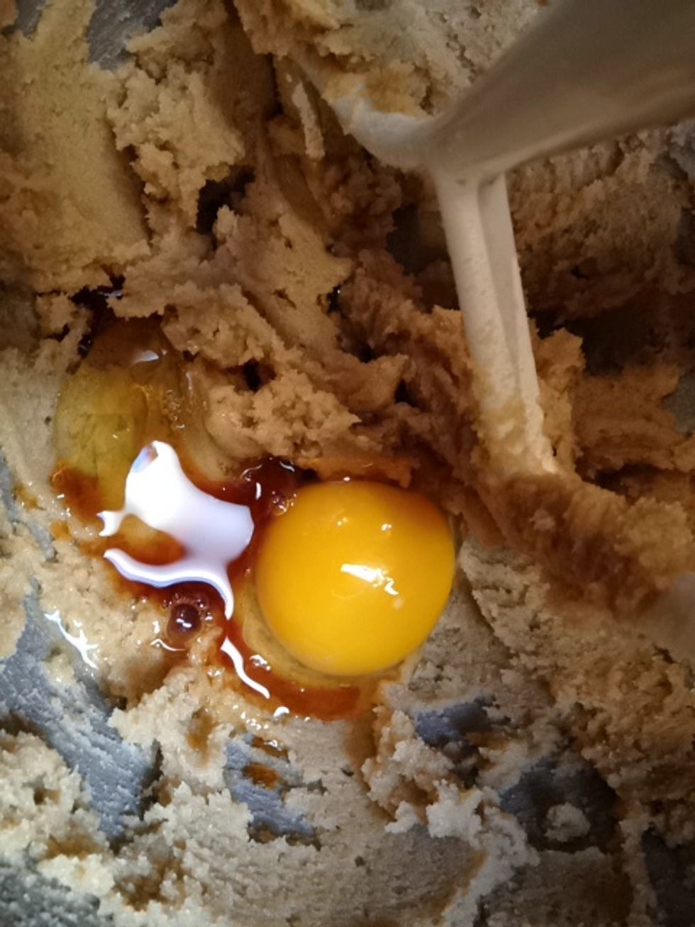 Add the egg and vanilla. Beat until well combined, should take under 30 seconds.