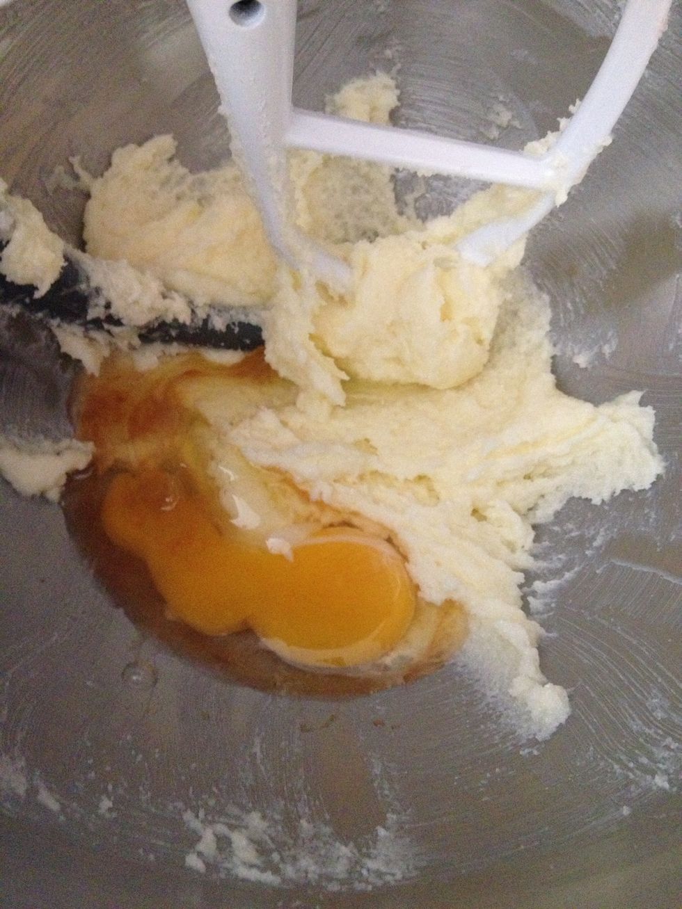 Add the egg, vanilla, and lemon to the sugar mixture