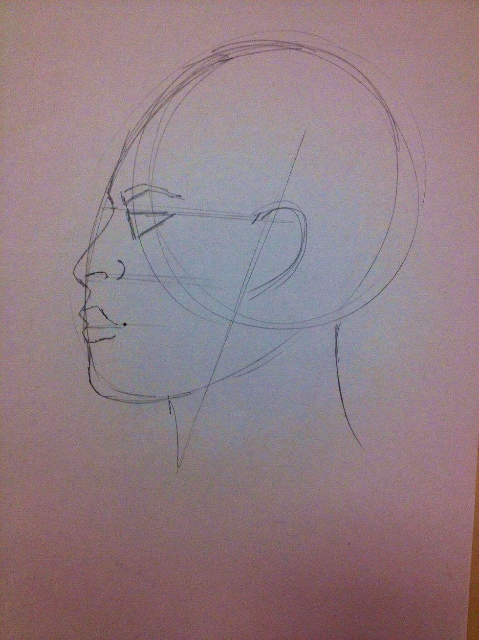 Add the eye brow.