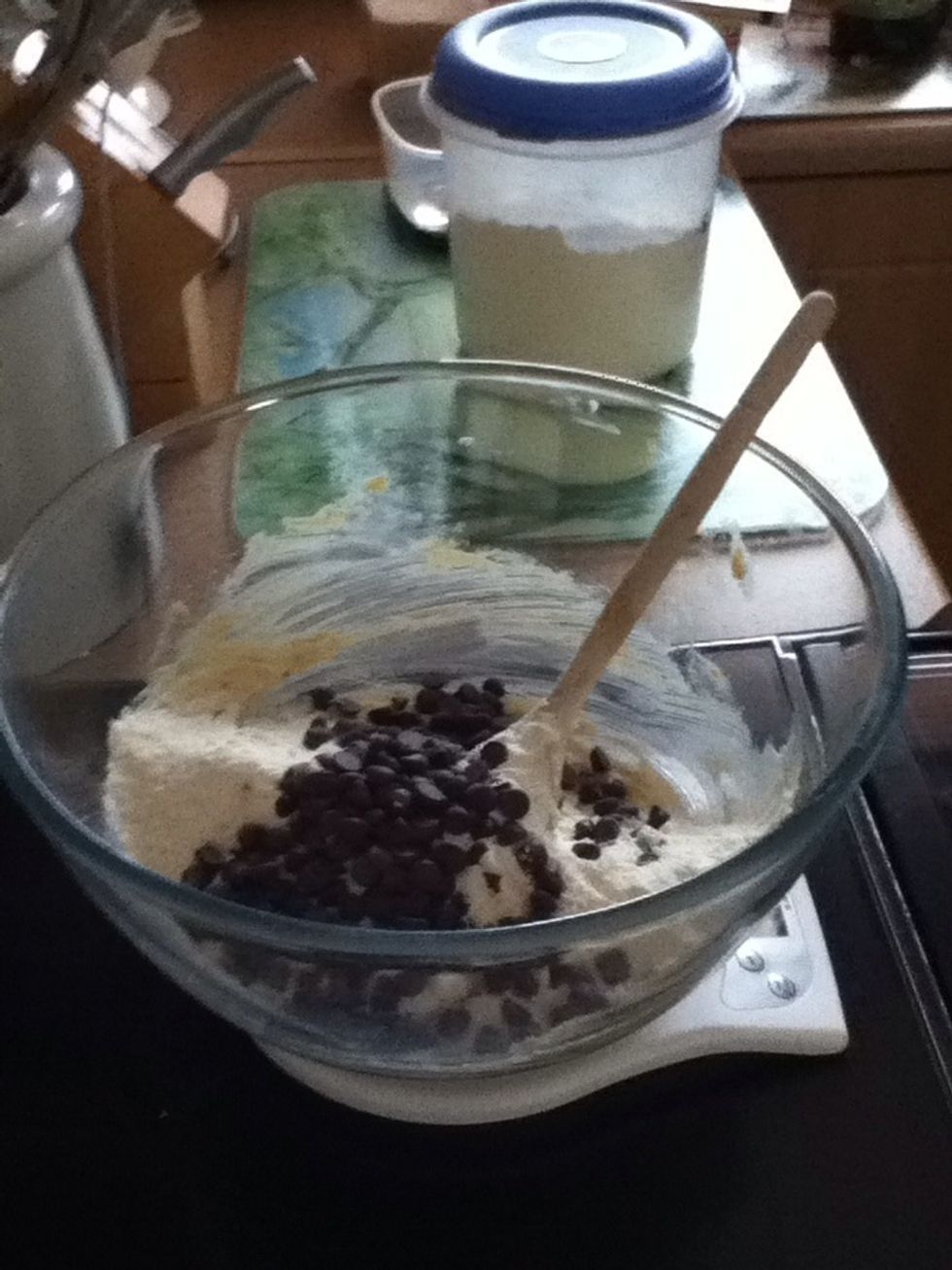 Add the flour and chocolate chips and mix well
