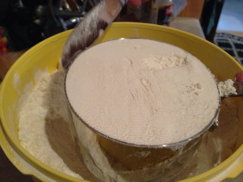 Add the flour and salt to the mix