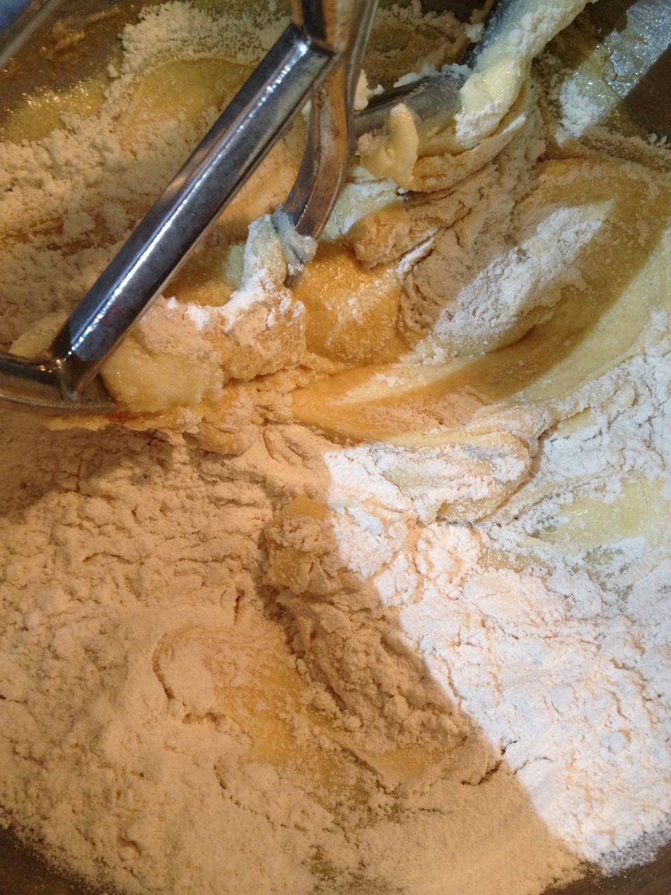 Add the flour in several additions, mixing until just combined.