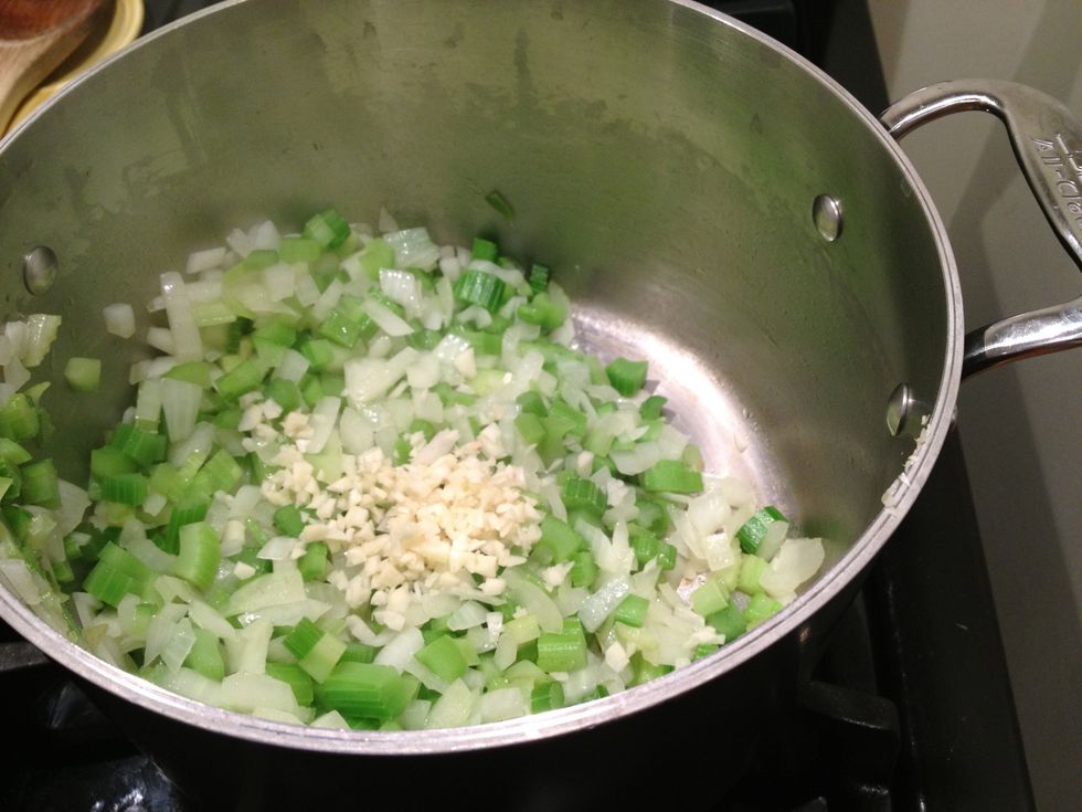Add the garlic, and cook for another minute or so.