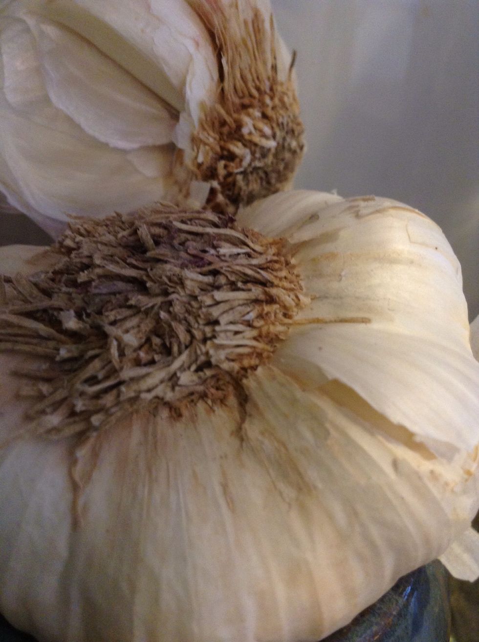 Add the garlic