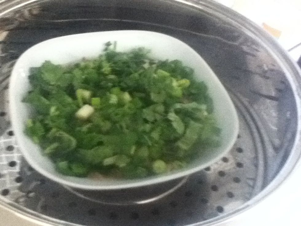 Add the green onion and coriander